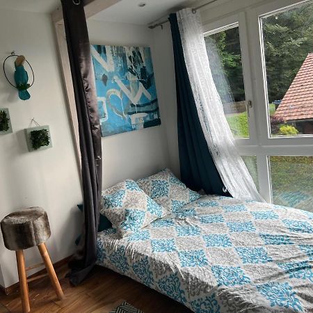 Petite Maison A L'Oree Des Bois Vue Magnifique Sur Le Lac Zenitude Et Plenitude Belmont-sur-Lausanne Eksteriør bilde