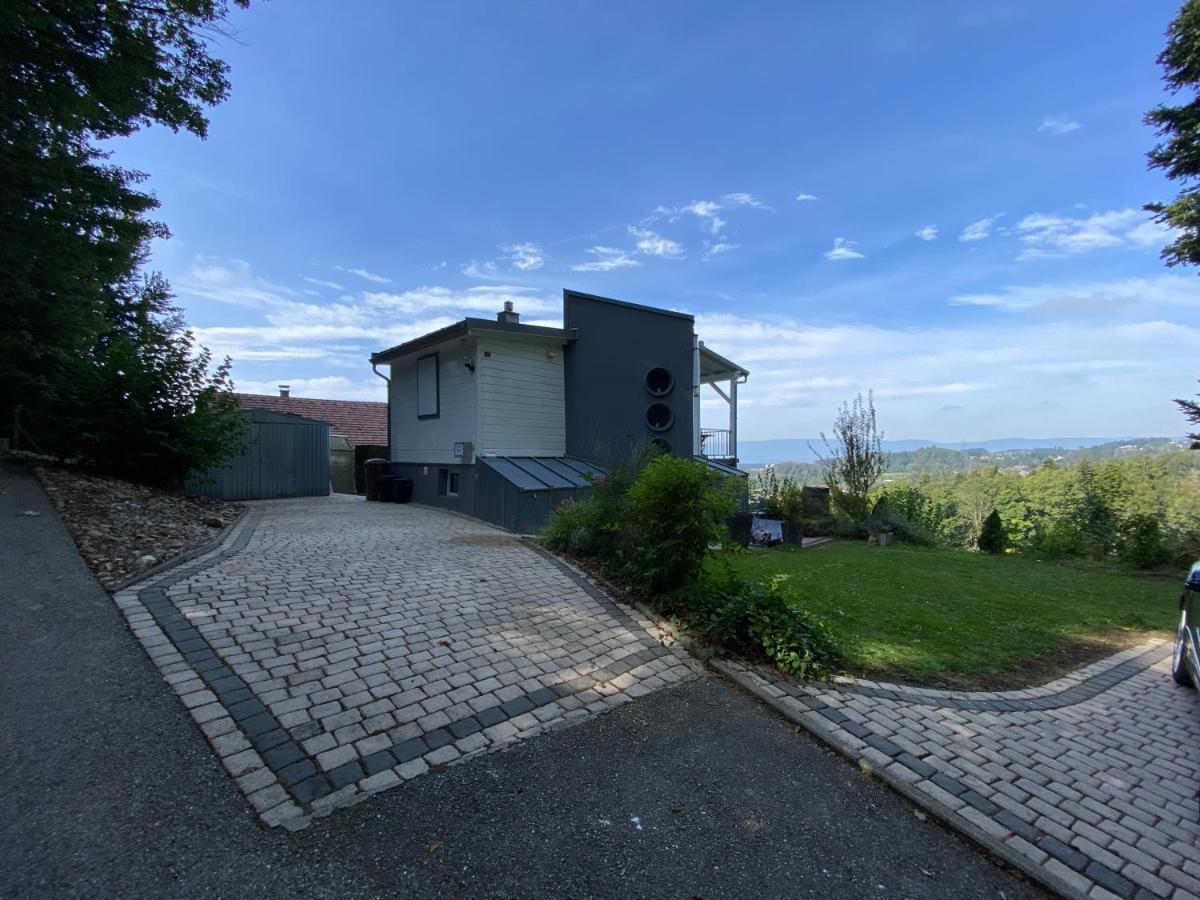 Petite Maison A L'Oree Des Bois Vue Magnifique Sur Le Lac Zenitude Et Plenitude Belmont-sur-Lausanne Eksteriør bilde
