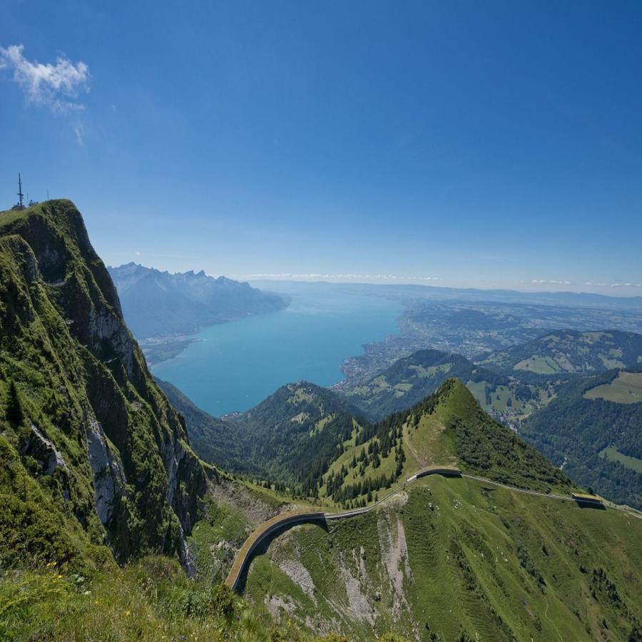 Petite Maison A L'Oree Des Bois Vue Magnifique Sur Le Lac Zenitude Et Plenitude Belmont-sur-Lausanne Eksteriør bilde