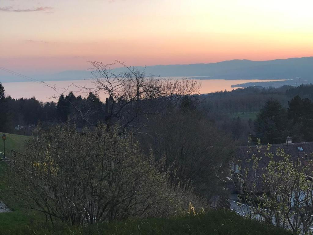 Petite Maison A L'Oree Des Bois Vue Magnifique Sur Le Lac Zenitude Et Plenitude Belmont-sur-Lausanne Eksteriør bilde